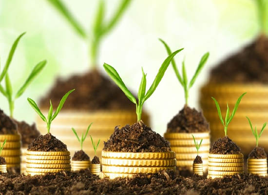Short-term Agricultural Loans