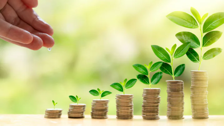 Small Savings Deposit